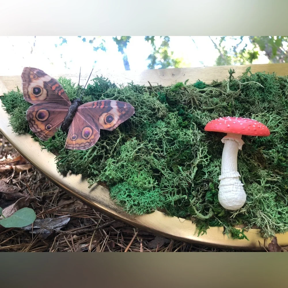 Fairy Moss Mushroom Mirror